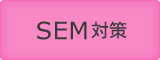 SEM対策